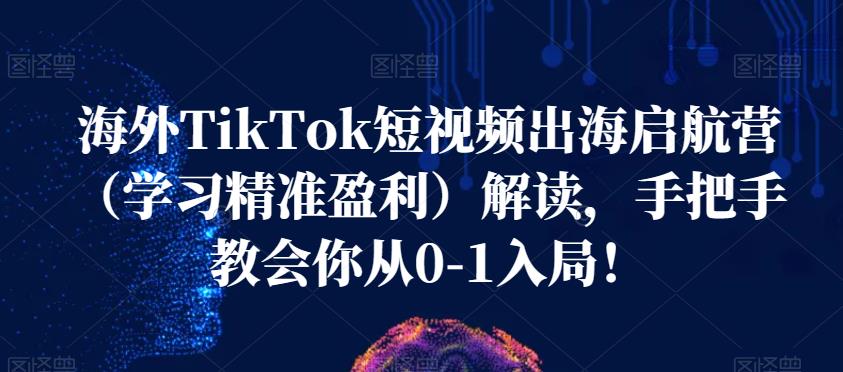 海外TikTok短视频出海启航营（学习精准盈利）解读，手把手教会你从0-1入局！-千寻创业网