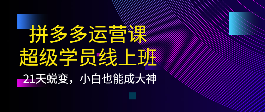 拼多多运营课：超级学员线上班，21天蜕变，小白也能成大神-千寻创业网
