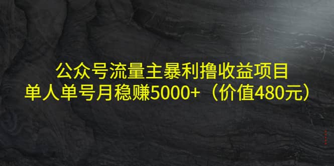公众号流量主暴利撸收益项目，单人单号月稳赚5000+（价值480元）-千寻创业网