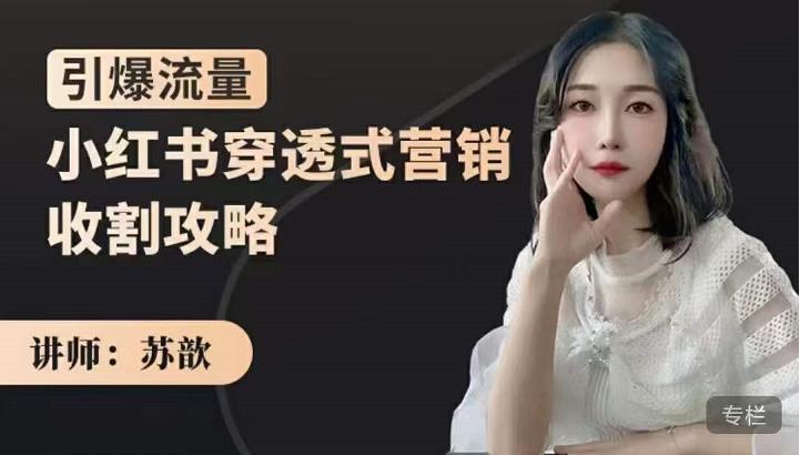 小红书穿透式营销收割攻略，引爆流量，助你玩转小红书-千寻创业网