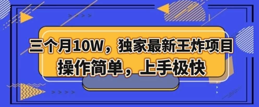 三个月10W，独家最新王炸项目！操作简单，上手极快【揭秘】-千寻创业网