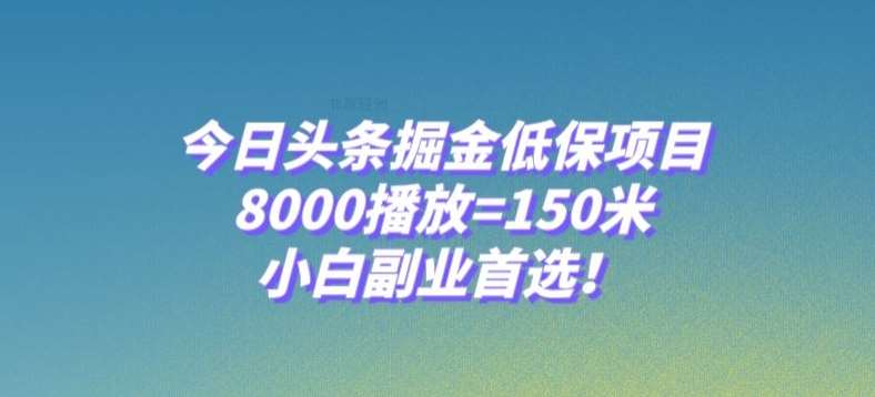 今日头条掘金低保项目，8000播放=150米，小白副业首选【揭秘】-千寻创业网