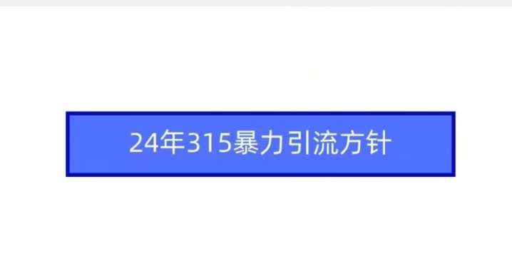 24年315暴力引流方针-千寻创业网