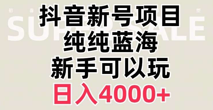 抖音蓝海赛道，必须是新账号，日入4000+【揭秘】-千寻创业网