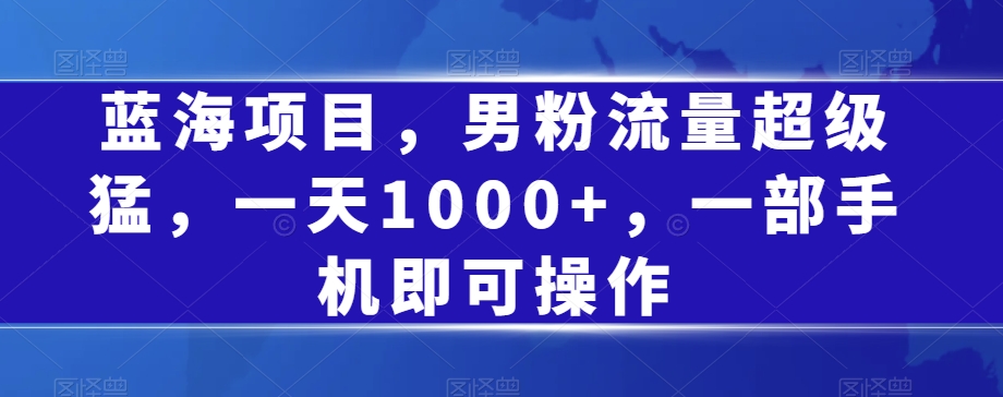 蓝海项目，男粉流量超级猛，一天1000+，一部手机即可操作【揭秘】-千寻创业网