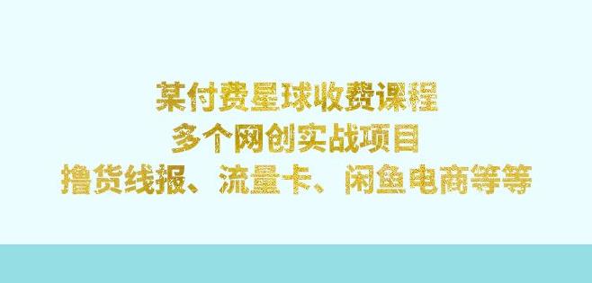 某付费星球课程：多个网创实战项目，撸货线报、流量卡、闲鱼电商等（文档非视频）-千寻创业网