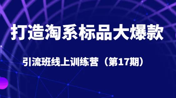 打造淘系标品大爆款引流班线上训练营5天直播授课-千寻创业网