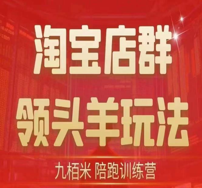 九栢米-淘宝店群领头羊玩法，教你整个淘宝店群领头羊玩法以及精细化/终极蓝海/尾销等内容-千寻创业网