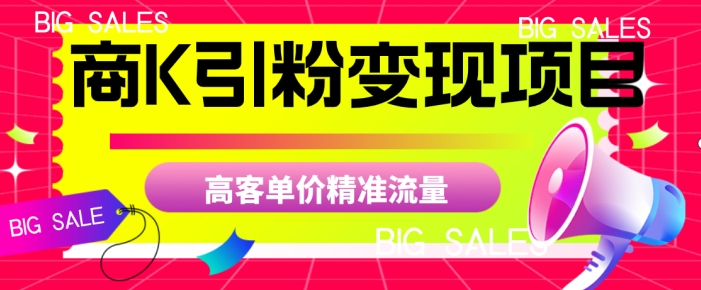 商K引粉变现项目，高客单价精准流量【揭秘】-千寻创业网