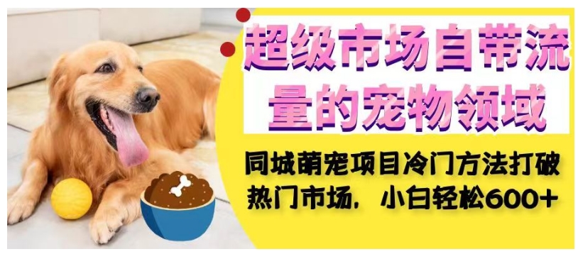 超级市场自带流量的宠物领域，同城萌宠项目冷门方法打破热门市场，小白轻松600+-千寻创业网