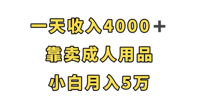 一天收入4000+，靠卖成人用品，小白轻松月入5万【揭秘】-千寻创业网