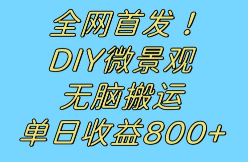 全网首发冷门赛道！DIY微景观，无脑搬运视频，日收益800+【揭秘】-千寻创业网