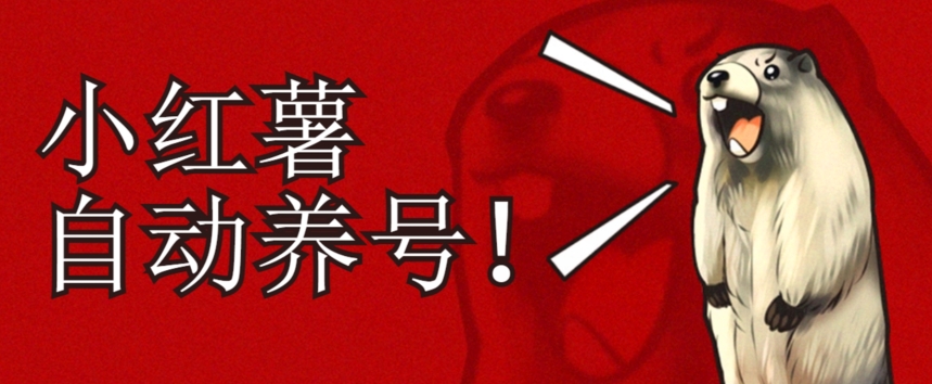 小红书养号秘籍，如何自动涨粉清晰系统标签打造高权重账号【揭秘】-千寻创业网