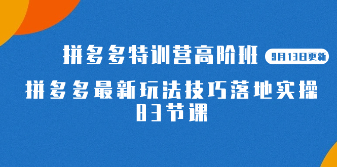 2023拼多多·特训营高阶班【9月13日更新】拼多多最新玩法技巧落地实操-83节-千寻创业网