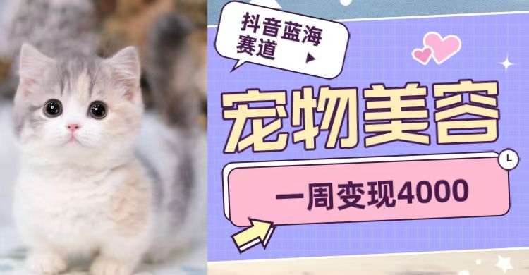 抖音蓝海赛道，宠物美容，一周变现4000-千寻创业网