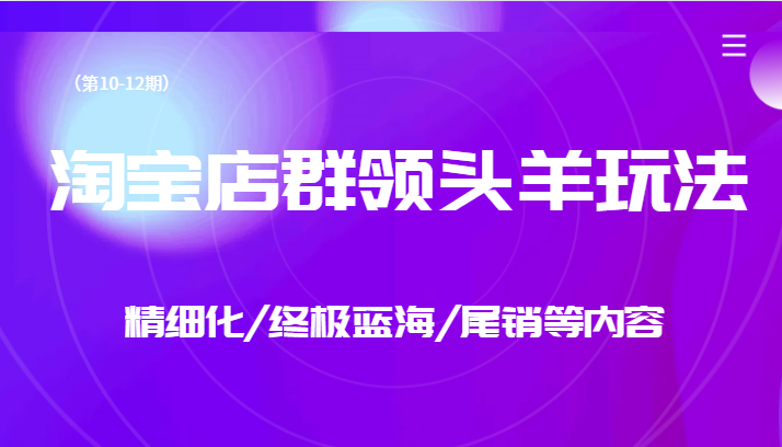 淘宝店群领头羊玩法，精细化/终极蓝海/尾销等内容-千寻创业网