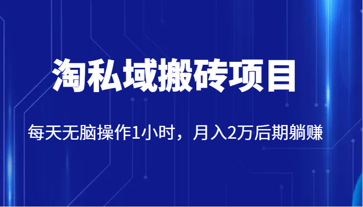 价值2980的淘私域搬砖项目，每天无脑操作1小时，月入2万后期躺赚-千寻创业网