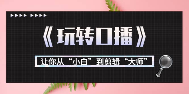 月营业额700万+大佬教您《玩转口播》让你从“小白”到剪辑“大师”-千寻创业网