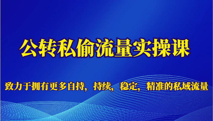 公转私偷流量实操课，致力于拥有更多自持，持续，稳定，精准的私域流量-千寻创业网