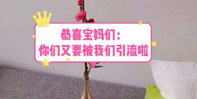 恭喜宝妈们：你们又要被我们引流了（教程+222g资料）-千寻创业网
