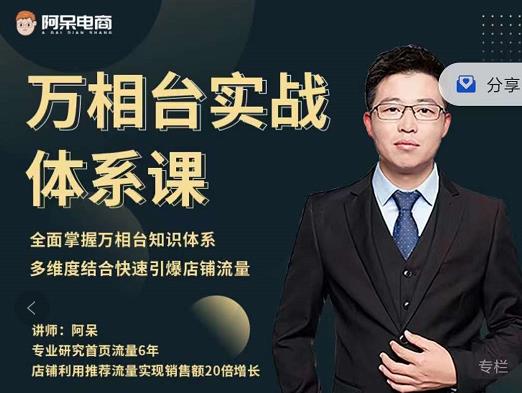 阿呆-万相台实战体系课，帮您全面掌握万相台知识体系-千寻创业网