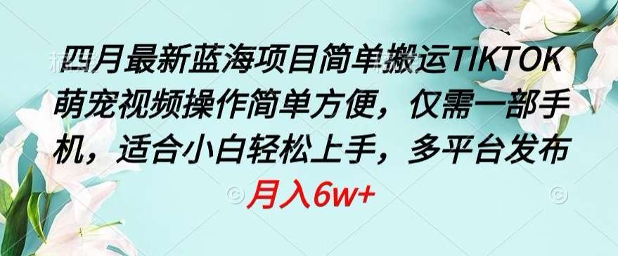 四月最新蓝海项目，简单搬运TIKTOK萌宠视频，操作简单方便，仅需一部手机【揭秘】-千寻创业网