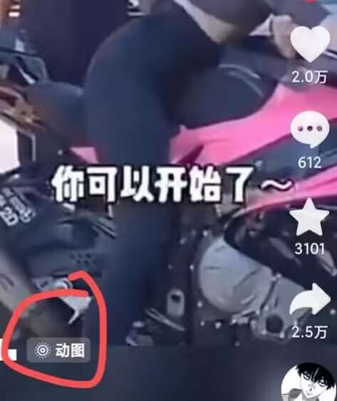 图片[2]-2024年7月苹果手机动图搬运技术-千寻创业网