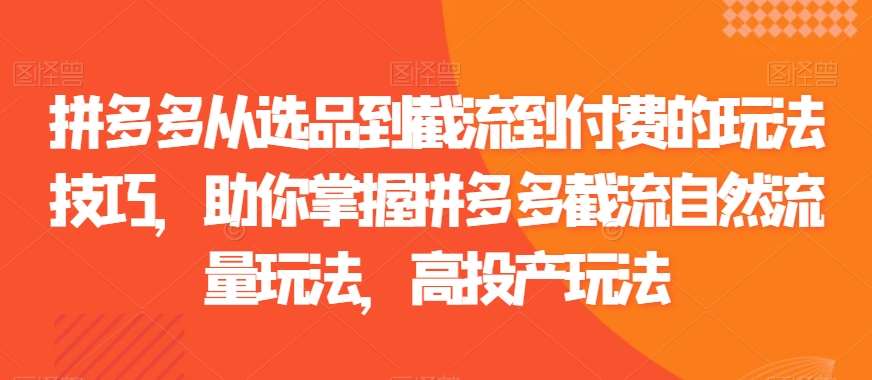 拼多多从选品到截流到付费的玩法技巧，助你掌握拼多多截流自然流量玩法，高投产玩法-千寻创业网