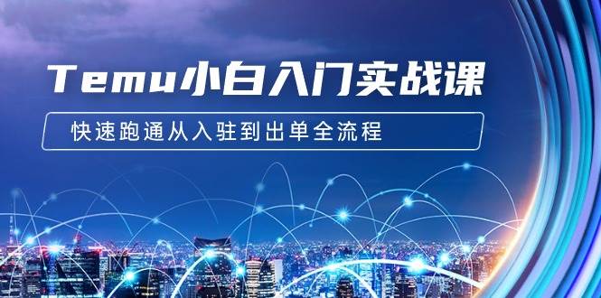 （9295期）Temu小白入门实战课：跨境拼多多电商培训 快速跑通从入驻到出单全流程-12节-千寻创业网