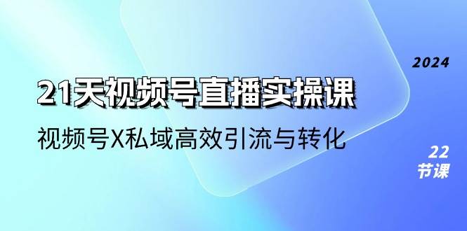 （10966期）21天-视频号直播实操课，视频号X私域高效引流与转化（22节课）-千寻创业网