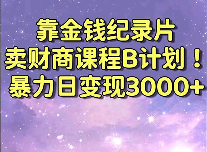 （8944期）靠金钱纪录片卖财商课程B计划！暴力日变现3000+，喂饭式干货教程！-千寻创业网