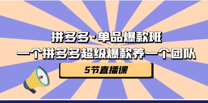 拼多多·单品爆款班，一个拼多多超级爆款养一个团队（5节直播课）-千寻创业网