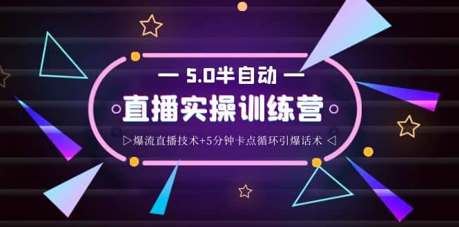 蚂蚁·5.0半自动直播2345打法，半自动爆流直播技术+5分钟卡点循环引爆话术-千寻创业网