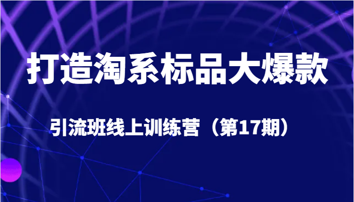 打造淘系标品大爆款引流班线上训练营5天直播授课+1个月答疑-千寻创业网