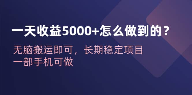 一天收益5000+怎么做到的？无脑搬运即可，长期稳定项目，一部手机可做-千寻创业网