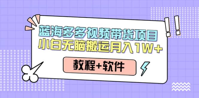 人人都能操作的蓝海多多视频带货项目 小白无脑搬运（教程+软件）-千寻创业网