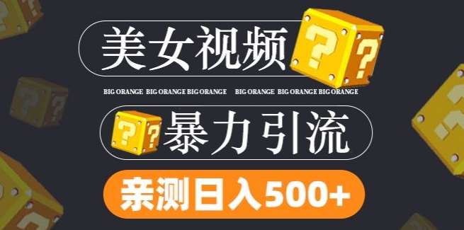 搬运tk美女视频全网分发，日引s粉300+，轻松变现，不限流量不封号【揭秘】-千寻创业网