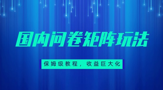 保姆级教程，国内问卷矩阵玩法，轻松赚收益-千寻创业网