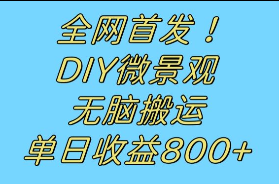 全网首发冷门赛道！DIY微景观，无脑搬运视频，日收益800+-千寻创业网