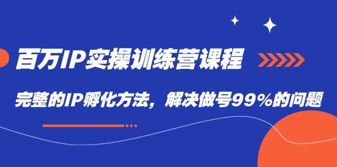 百万IP实战训练营课程，完整的IP孵化方法，解决做号99%的问题-千寻创业网