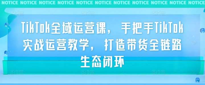 TikTok全域运营课，手把手TikTok实战运营教学，打造带货全链路生态闭环-千寻创业网