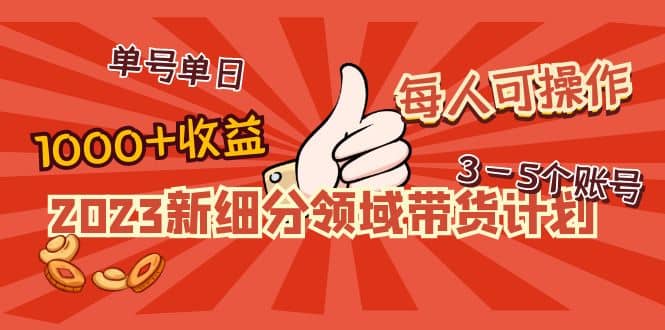 2023新细分领域带货计划：单号单日1000+收益不难，每人可操作3-5个账号-千寻创业网
