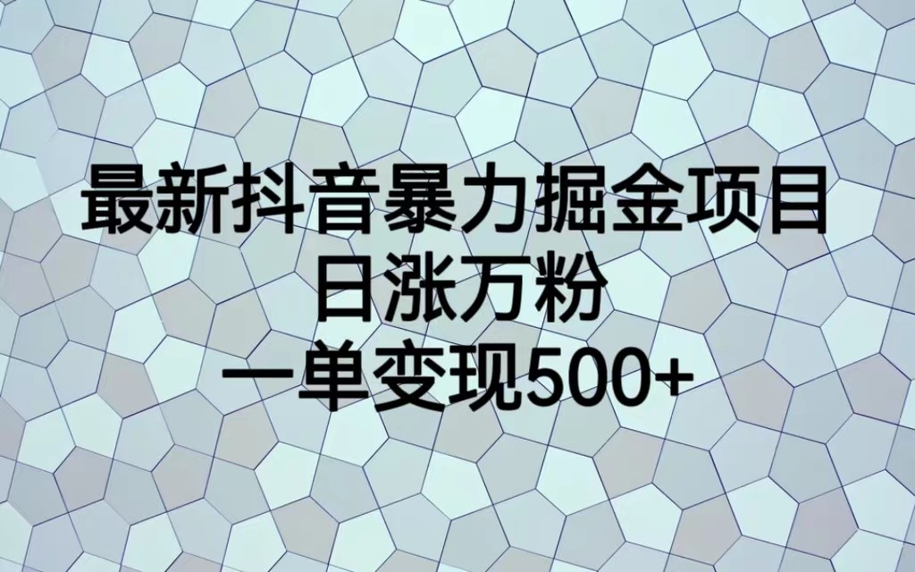 最新抖音暴力掘金项目，日涨万粉，一单变现500+-千寻创业网
