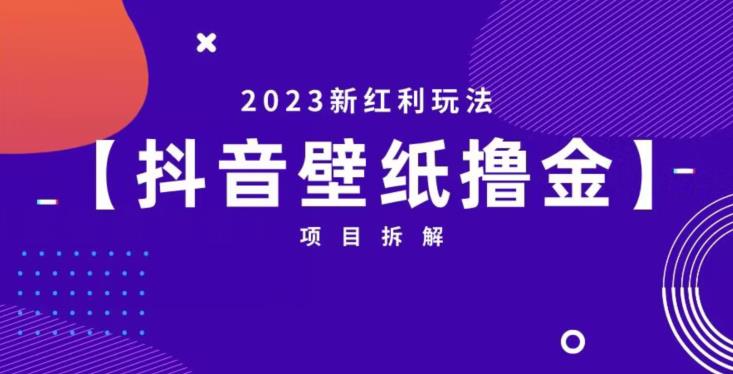 抖音壁纸小程序创作者撸金项目，2023新红利玩法【项目拆解】-千寻创业网