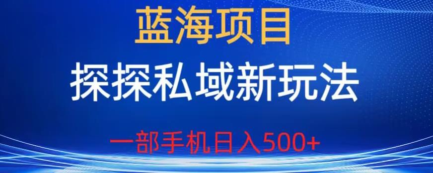 蓝海项目，探探私域新玩法，一部手机日入500+很轻松【揭秘】-千寻创业网