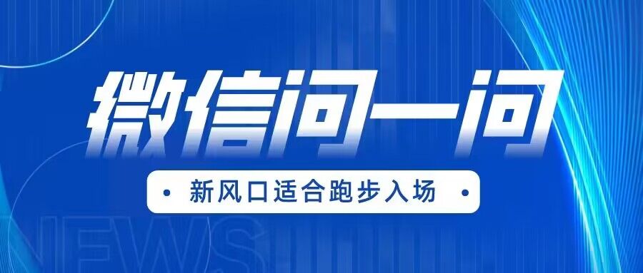 全网首发微信问一问新风口变现项目（价值1999元）-千寻创业网