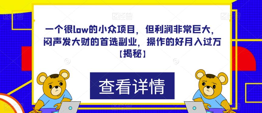 一个很low的小众项目，但利润非常巨大，闷声发大财的首选副业，操作的好月入过万【揭秘】-千寻创业网