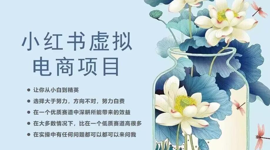 小红书虚拟电商从0到1，让你从小白到精英（20节实操课程）-千寻创业网