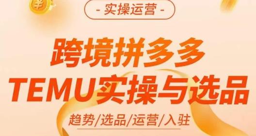 伍跃·跨境拼多多TEMU实操与选品，​趋势/选品/运营/入住（27节完整）-千寻创业网