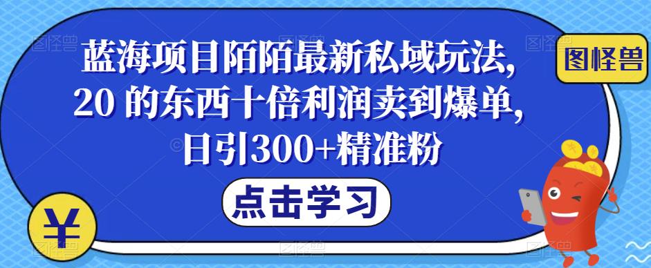 蓝海项目陌陌最新私域玩法，20 的东西十倍利润卖到爆单，日引300+精准粉【揭秘】-千寻创业网